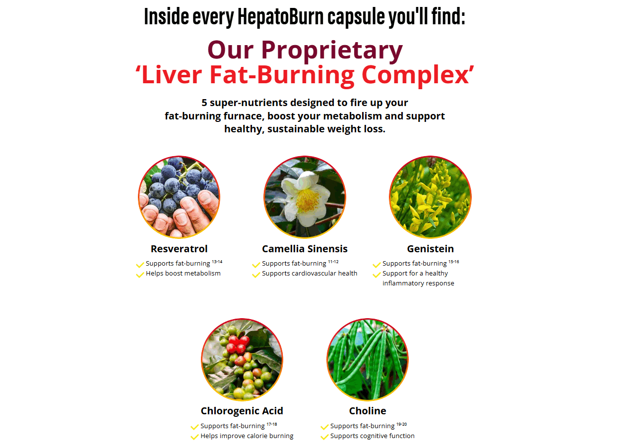 HepatoBurn-Ingredient